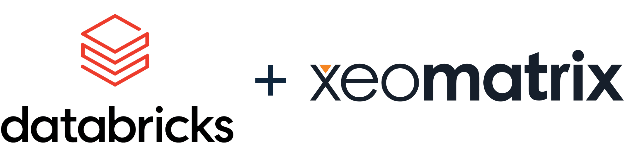 XeoMatrix + Data Bricks